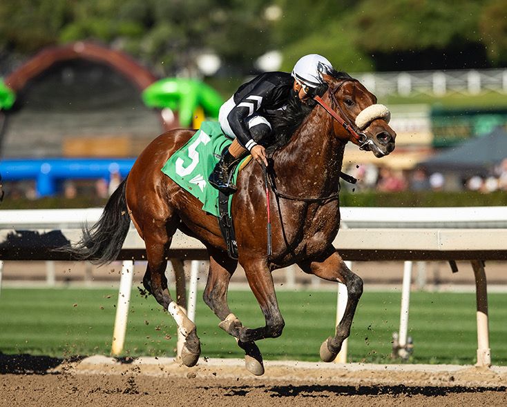 Jerry Raski Horse Racing 1 2 3 4