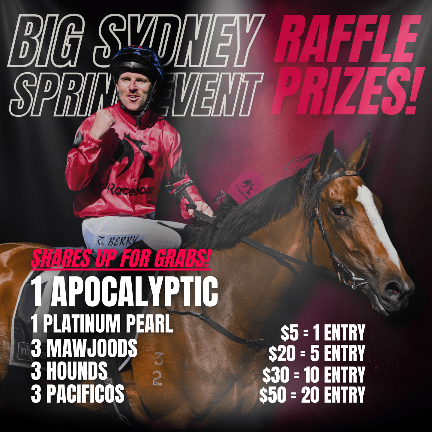 SYDNEY SPRING EVENT: RAFFLE PRIZES