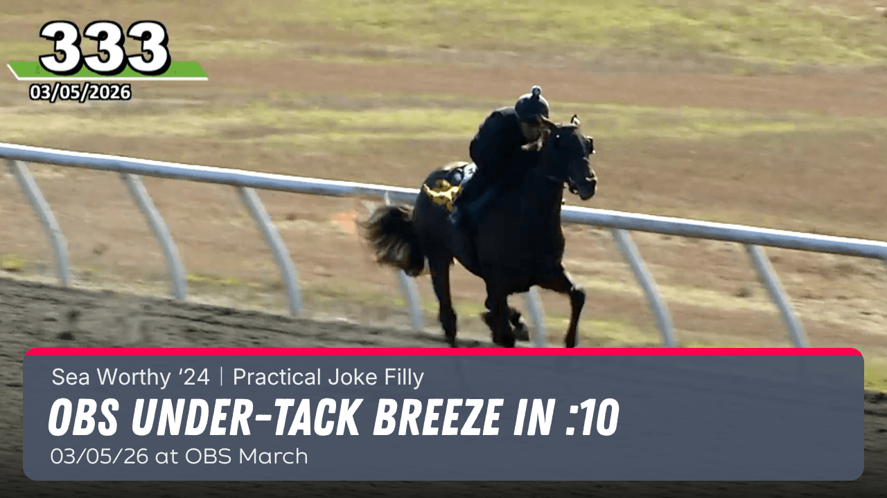 MyRacehorse