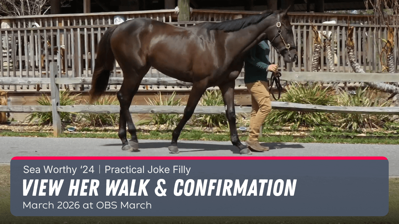 MyRacehorse
